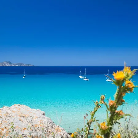Mavi Trapani